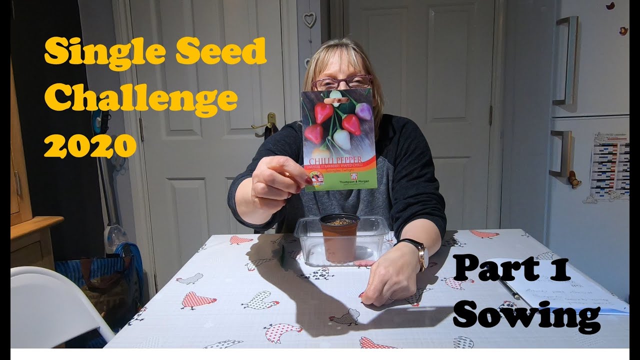 #87 The Single Seed Challenge 2020   Part 1   Sowing