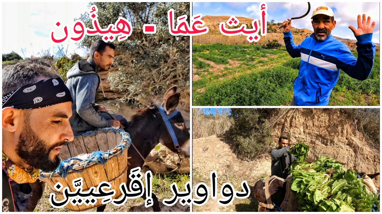 حوار مع فلاحين من دوار هيذون بأيث شيشار / إقليم الناظور