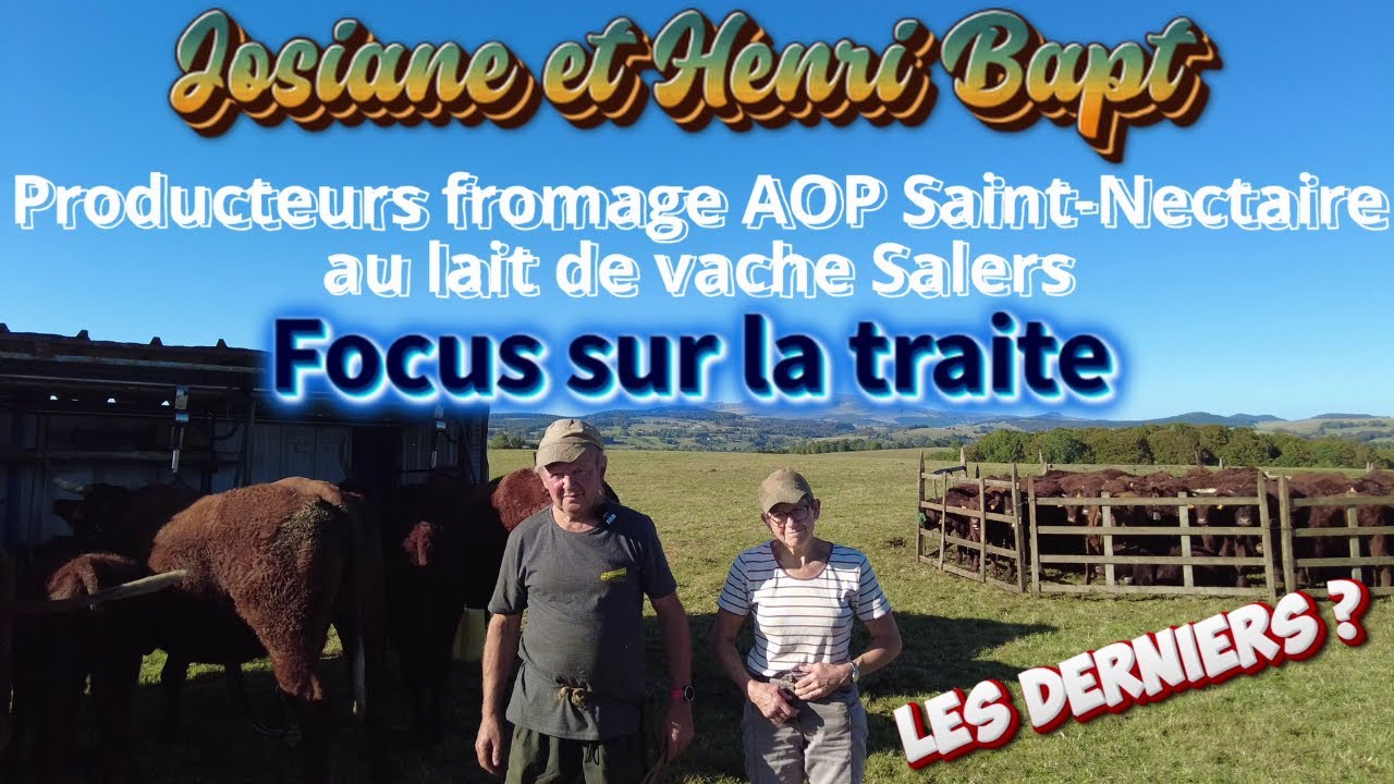 Josiane et Henri, producteurs de Saint Nectaire au lait de vache Salers, une denrée rare !