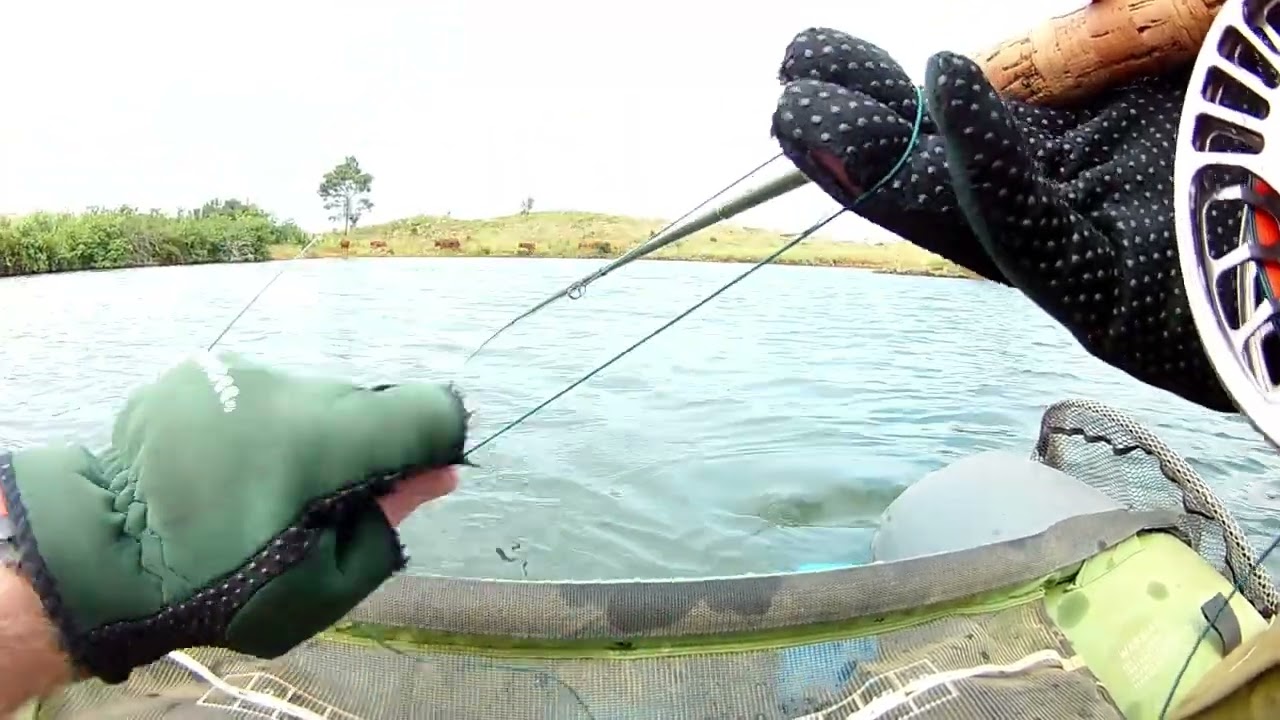 Early session fly-fishing for trout. IN KZN.