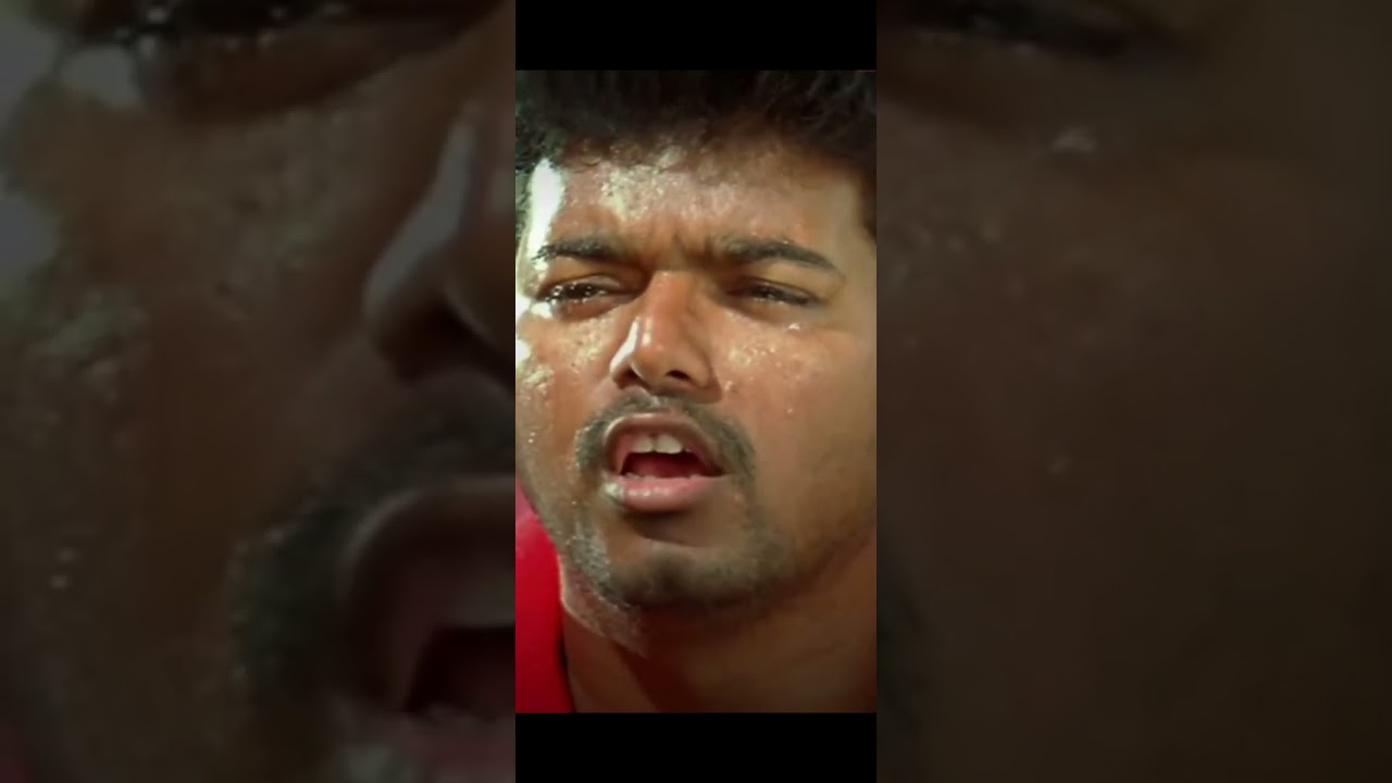 இது எங்க TERRITORY..! 🔰 THALAPATHY VIJAY MASS STATUS 🔥 | TVK #Shorts