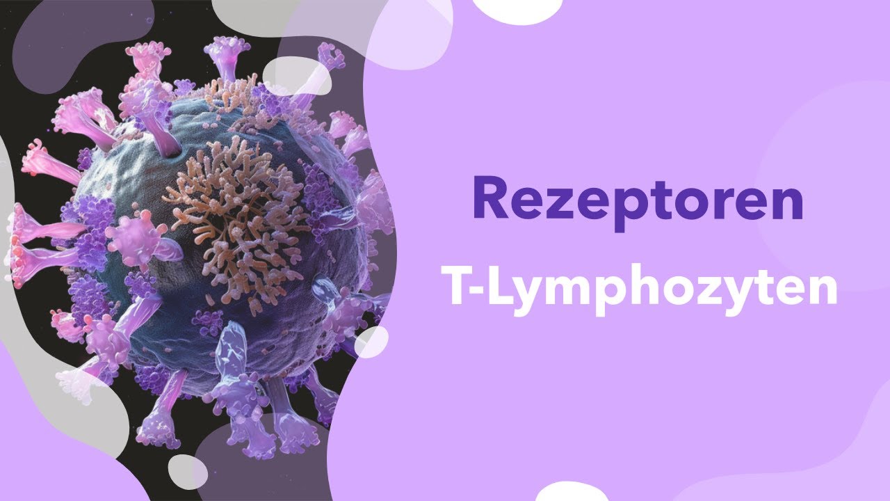 T-Zell-Rezeptor: Aufbau und Rearrangement | CD4 und CD8