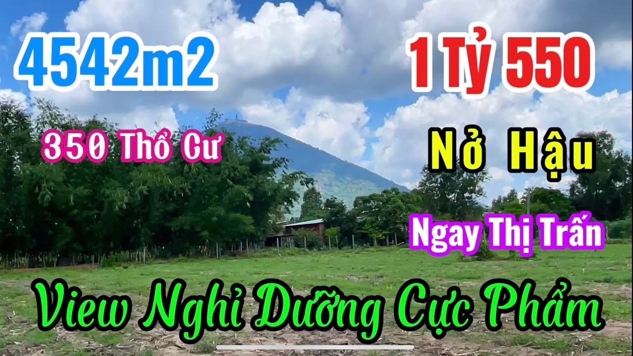 ( Đã Bán) Chỉ cách Núi Bà Tây Ninh 5 phút! Lô đất 4.542m² view đẹp như tranh — Giá dưới mong đợi