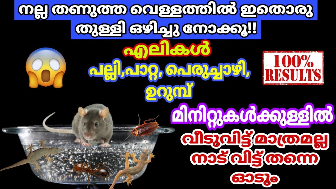 തണുത്ത വെള്ളത്തിൽ ഒരുതുള്ളി ഒഴിക്കൂ/എലി,പല്ലി,പാറ്റ വിറച്ചുകൊണ്ട് ഓടും/ഇത്കണ്ട് കഴിഞ്ഞാൽ ഞെട്ടും