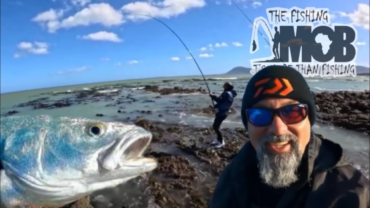 SMASH IT! Catch and Cook