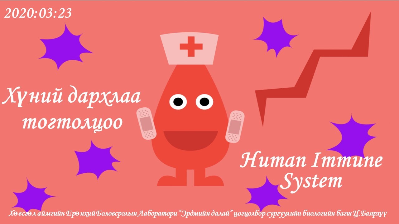 Дархлаа /Хүний тунгалагийн тогтолцоо/