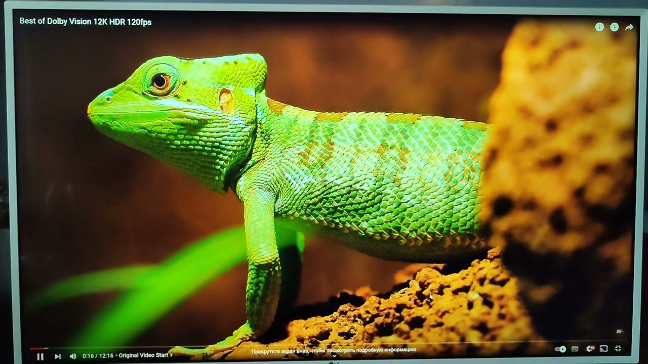 intel n100 GK3 пример работы / воспроизведения видео 4k 8k