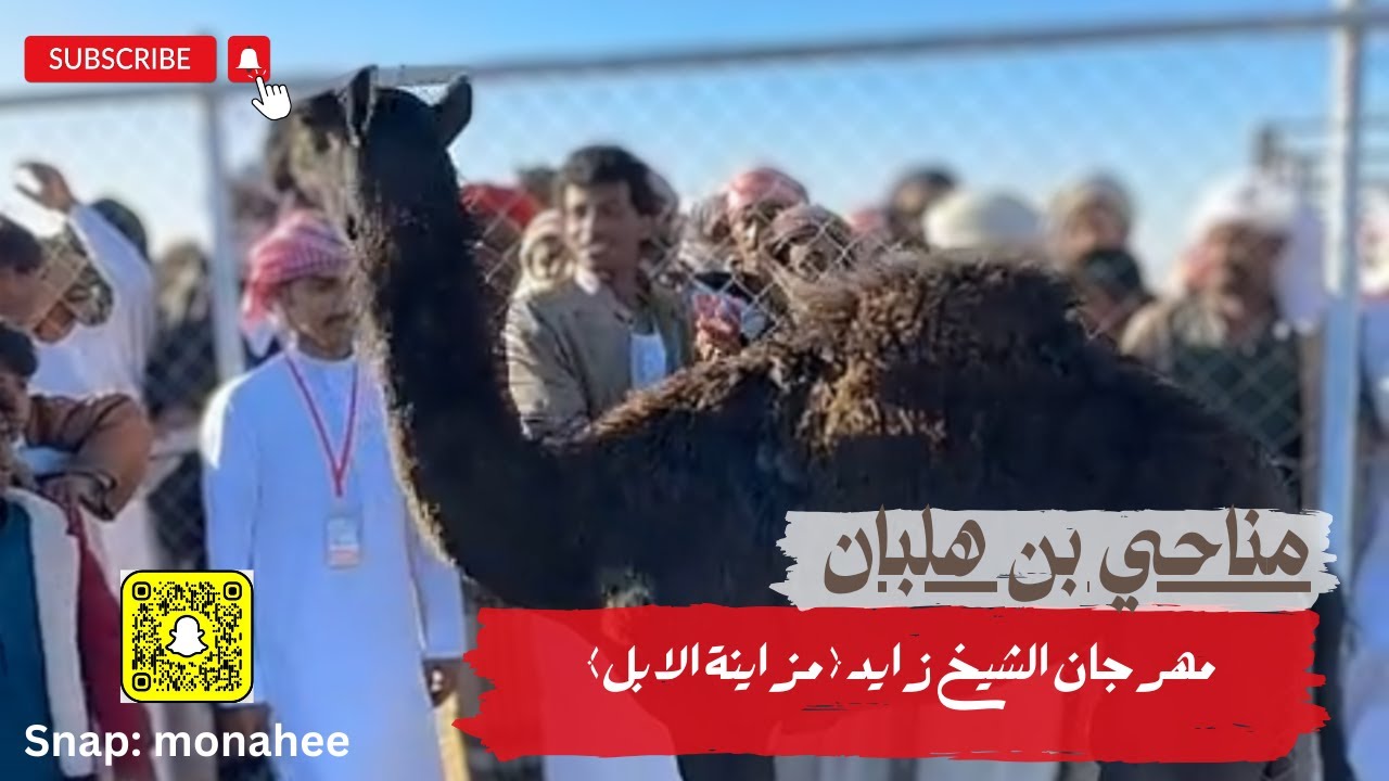 مزاين الابل في اليمن