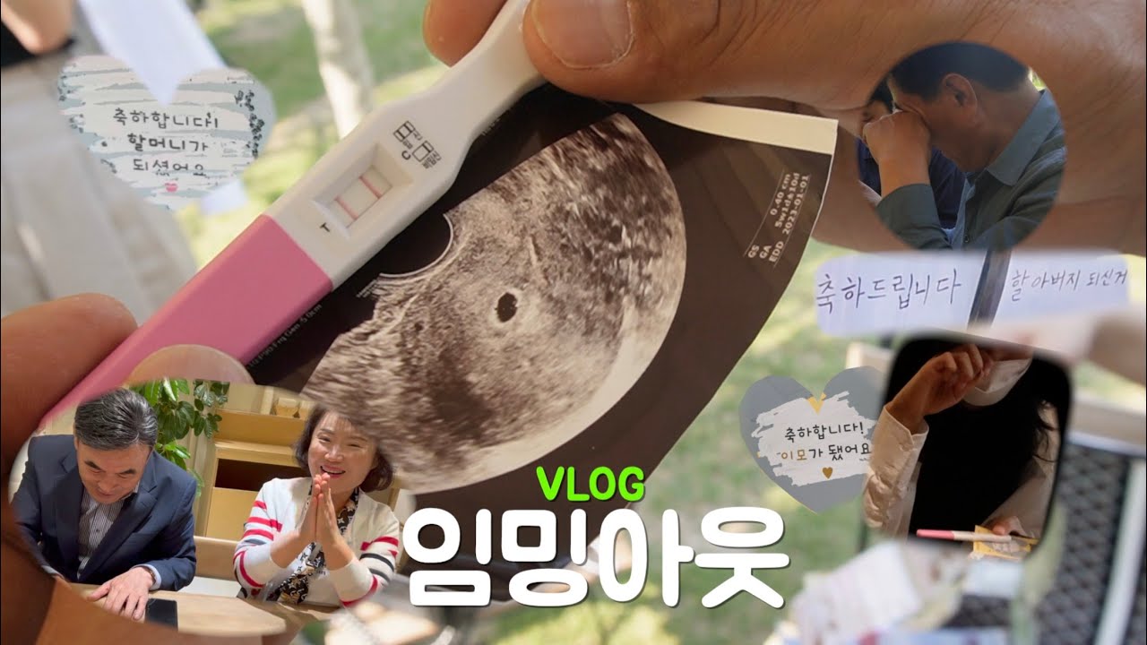 VLOG | 저... 임신했어요🥺 기쁨과 감동의 서프라이즈 임밍아웃❣️
