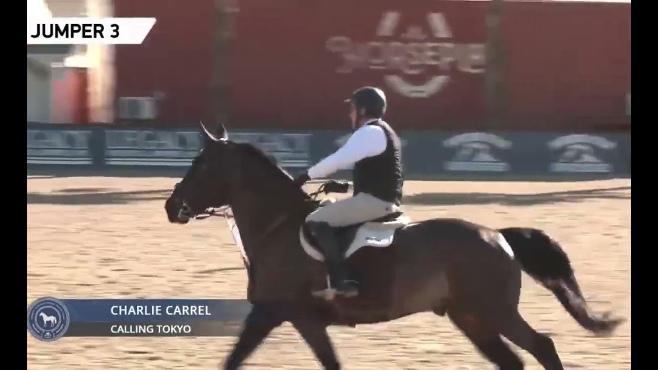 Calling Tokyo - W5 1.0m Wednesday with Colts Unlimited Eq ring