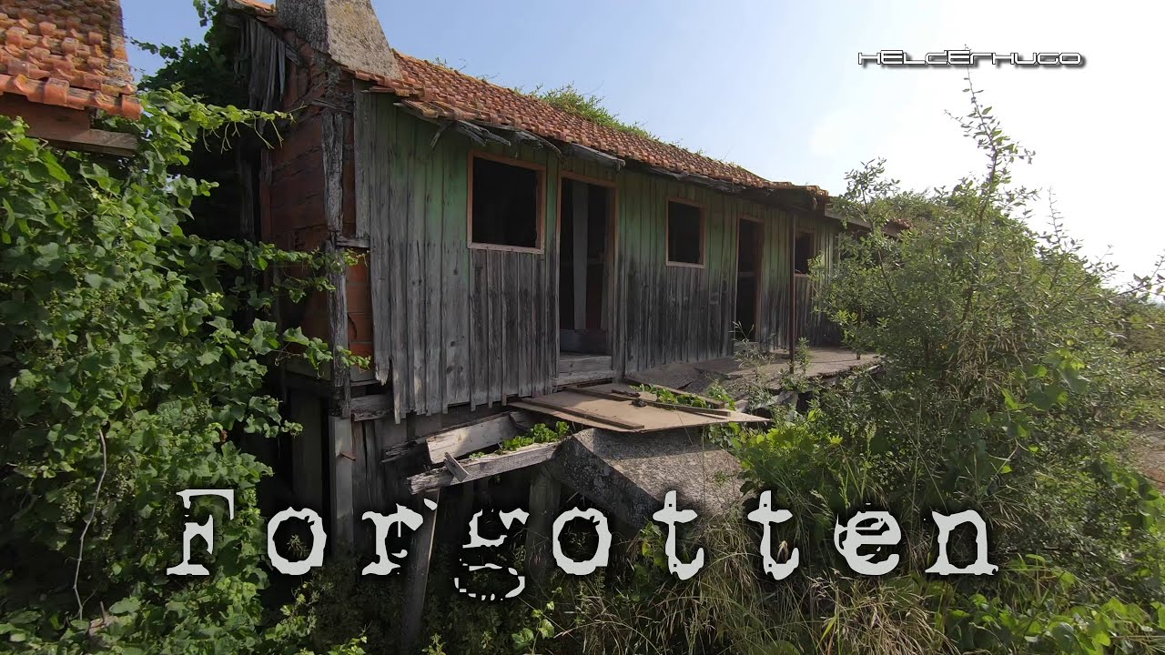 Aldeia Palafítica Avieira do Patacão Alpiarça ao abandono
