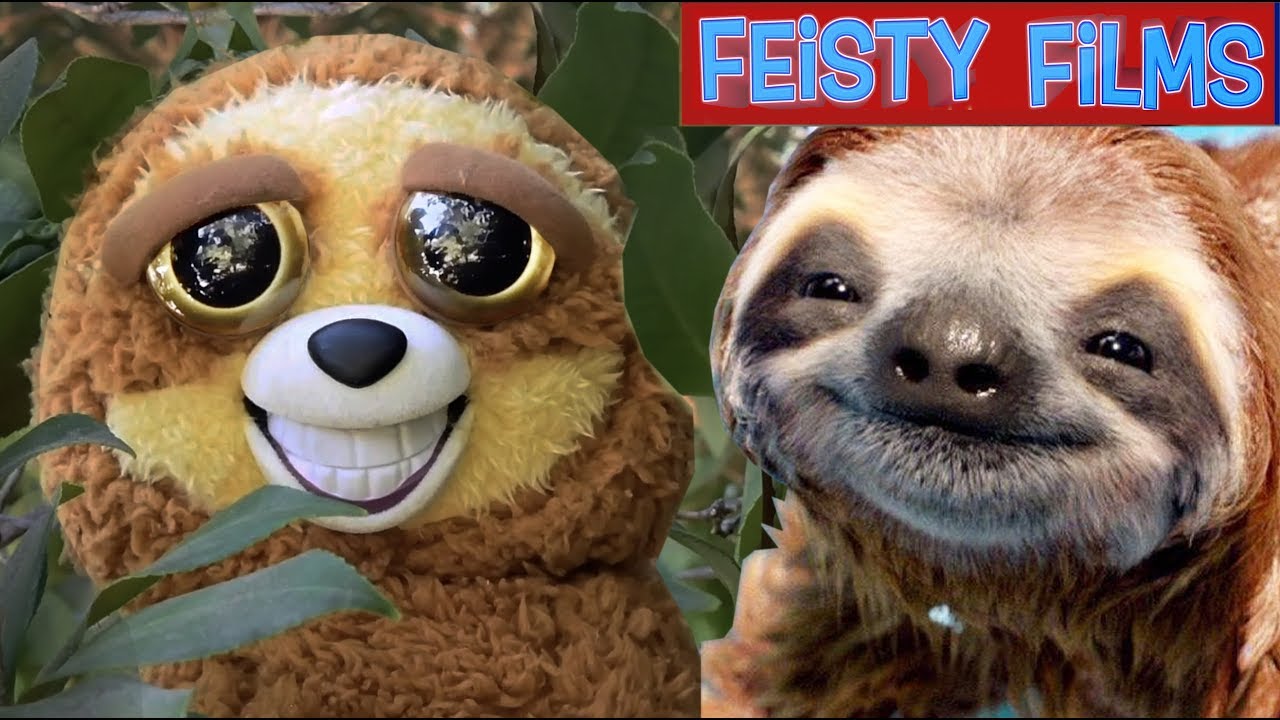Feisty Sloth Compilation! How Slow Can You Go?