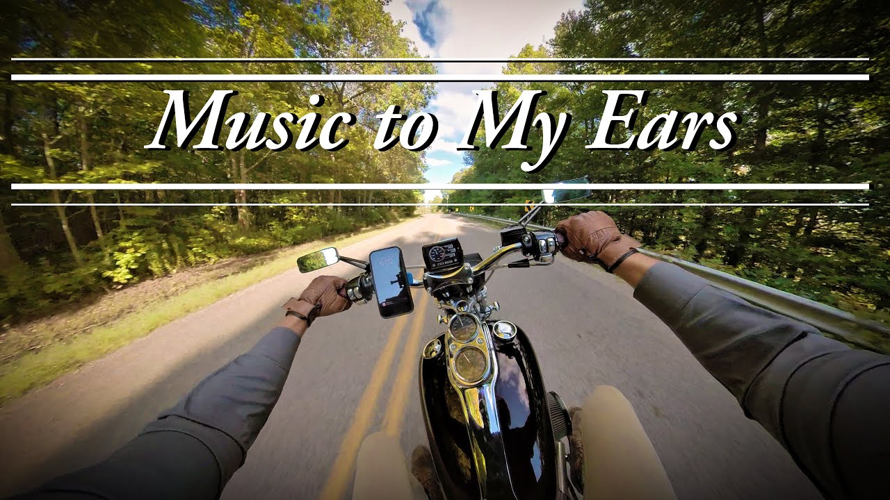 Pure V-Twin Exhaust Sound | Cruising on My Harley Dyna | POV 4K | No Music | Full Throttle