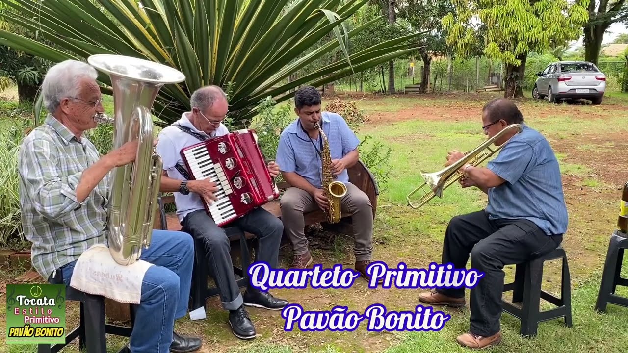 A  Simplicidade em  Levar a música Tocada ESTILO PRIMITIVOS