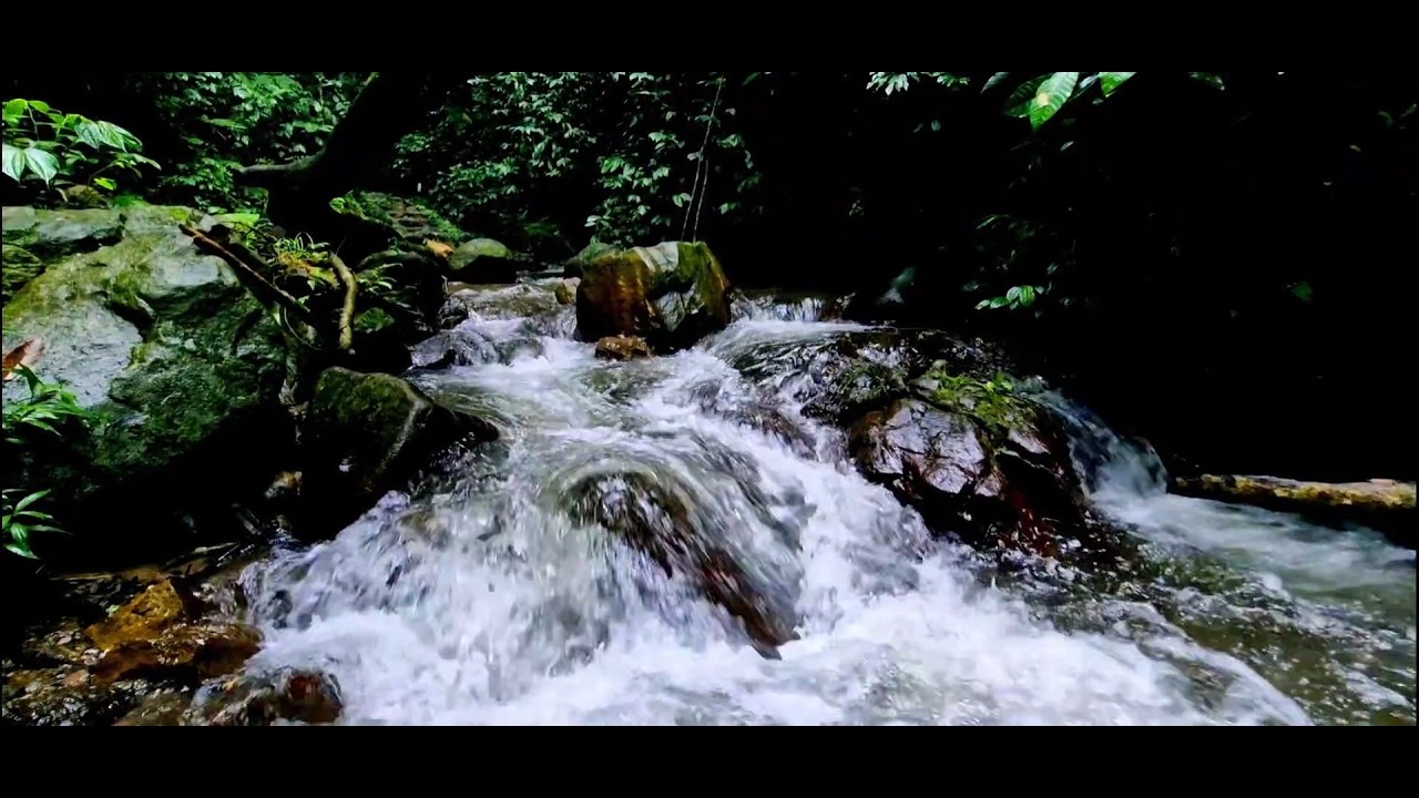 ASMR River Background Noise  Sleep, Focus, Meditation