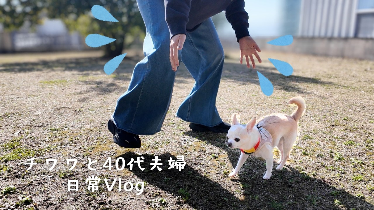 【陰キャチワワが暴走】ずっと行きたかった神の店で過ごす休日に密着！　富山/だいせん丸/ワンコ連れOK