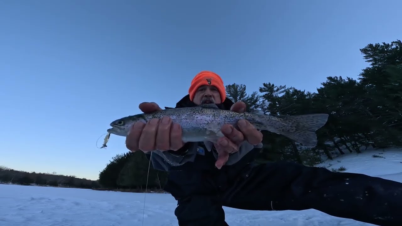 Early Ice Rainbow Trout Calabogie Ontario