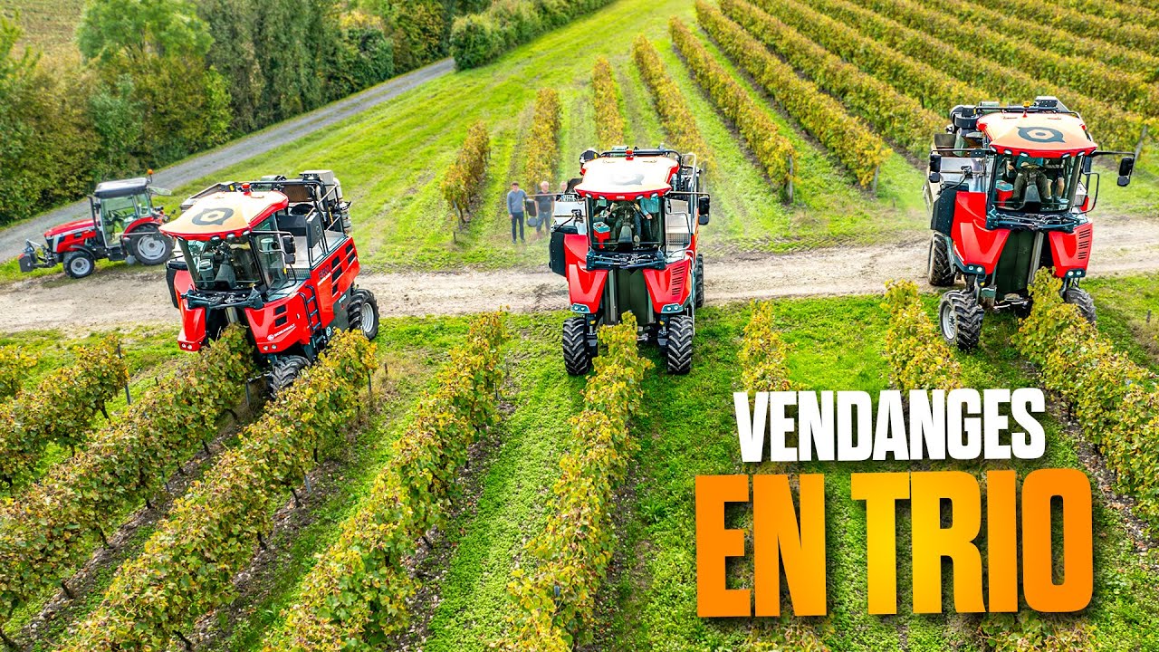 VENDANGE XXL A TROIS MACHINES - BOISUMAULT x ERO