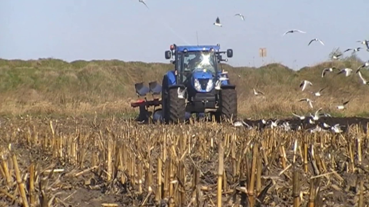 Orka na pełnej NewHollandem T7.220 I UNIĄ IBIS XXXL