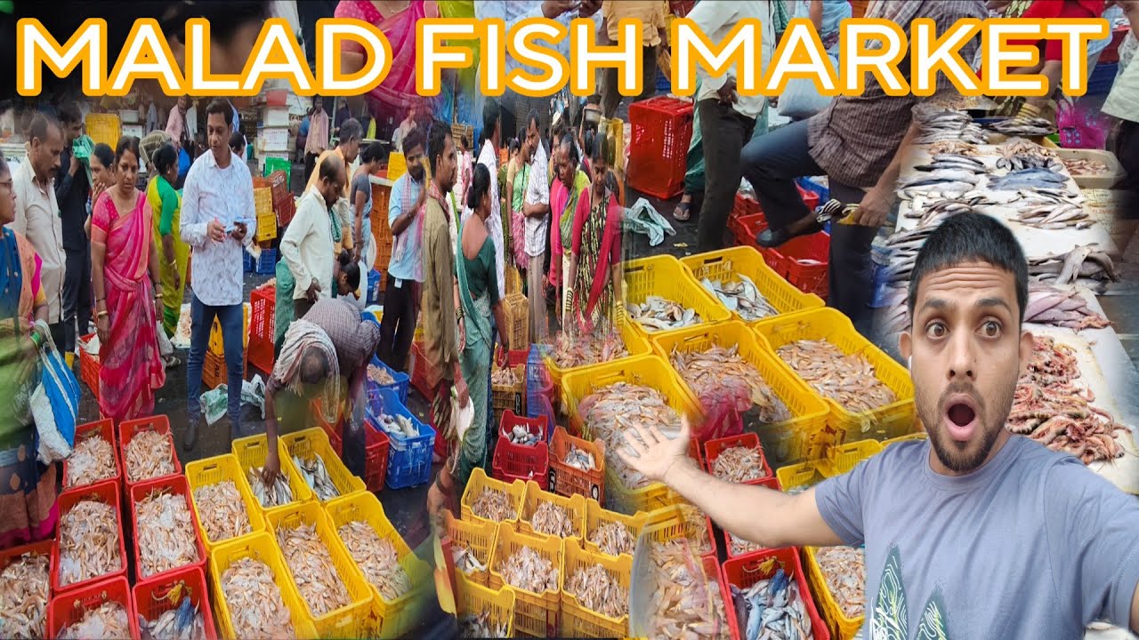 Malad fish market sabse sasta fish Mumbai Malad wholesale fish market latest video #