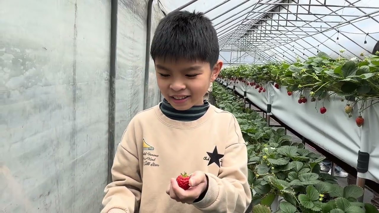 【 台北】莓圃休閒農園