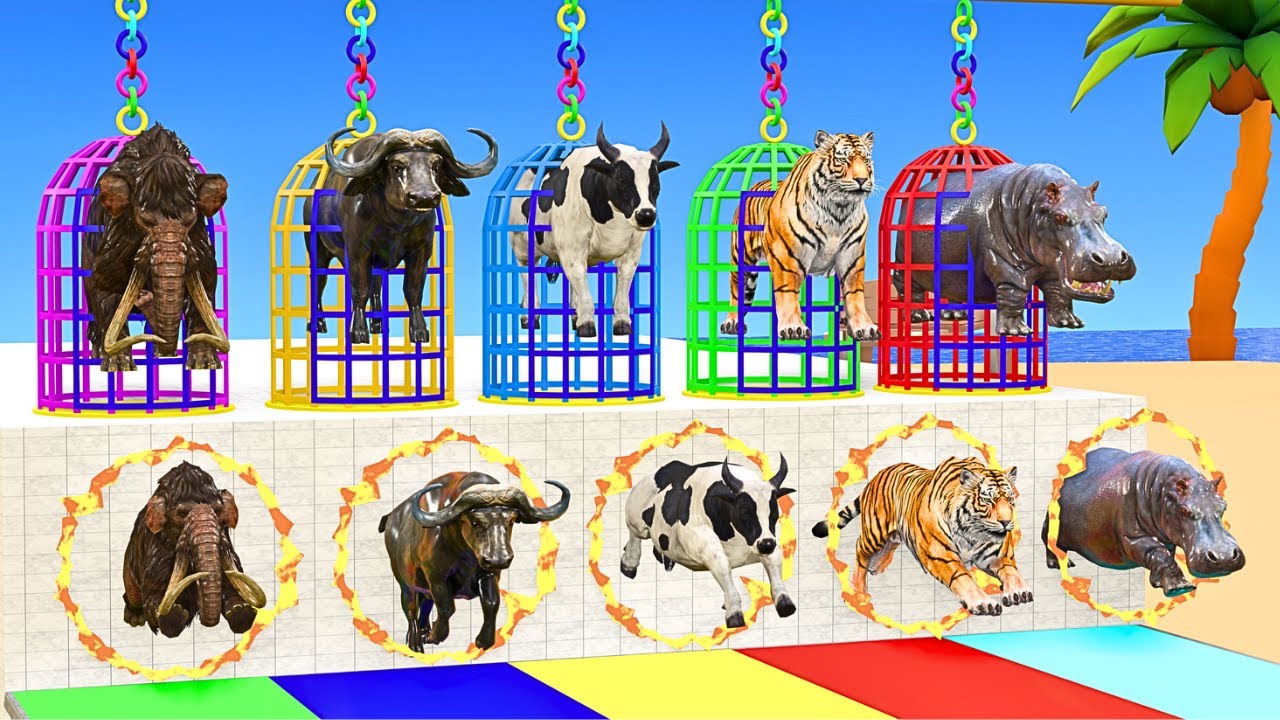 Long Slide Game With Cow Elephant Gorilla Hippopotamus Tiger 3d Animal Game Funny 3d Animals