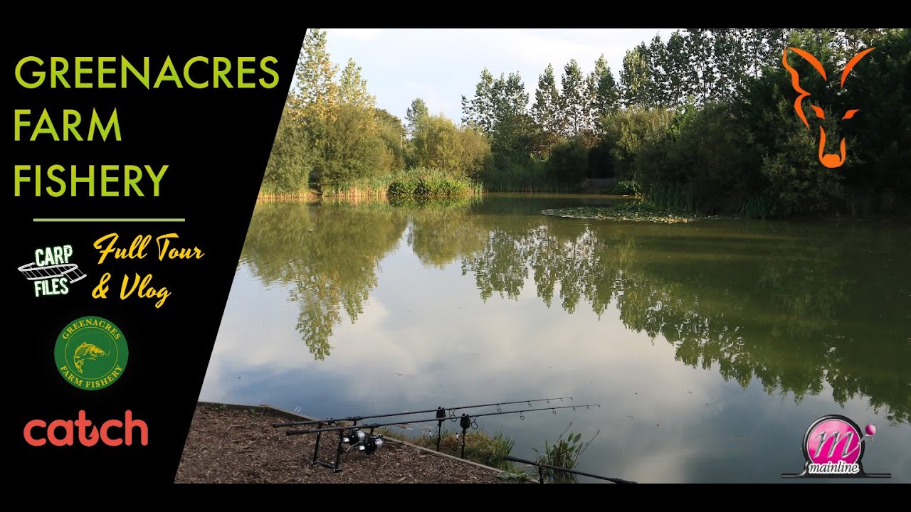CARP FISHING - Greenacres Farm Fishery - Day ticket complex tour & session vlog. CARP ANGLING.