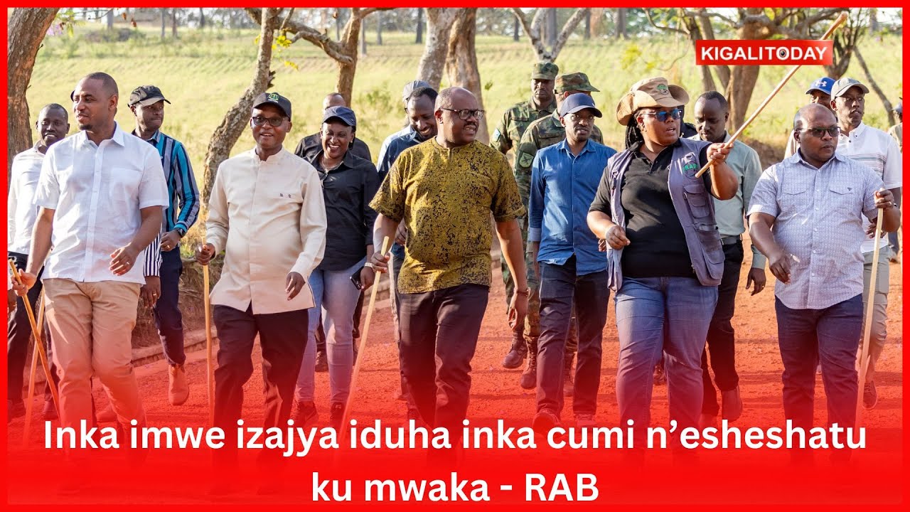 Inka imwe izajya iduha inka cumi n'esheshatu ku mwaka - RAB