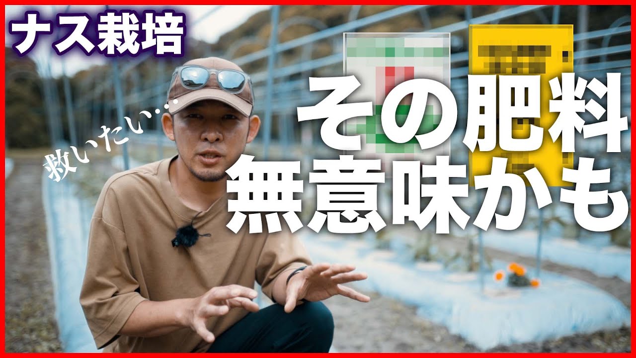 ナス肥料の基礎がわかる講座　【元肥から追肥まで】