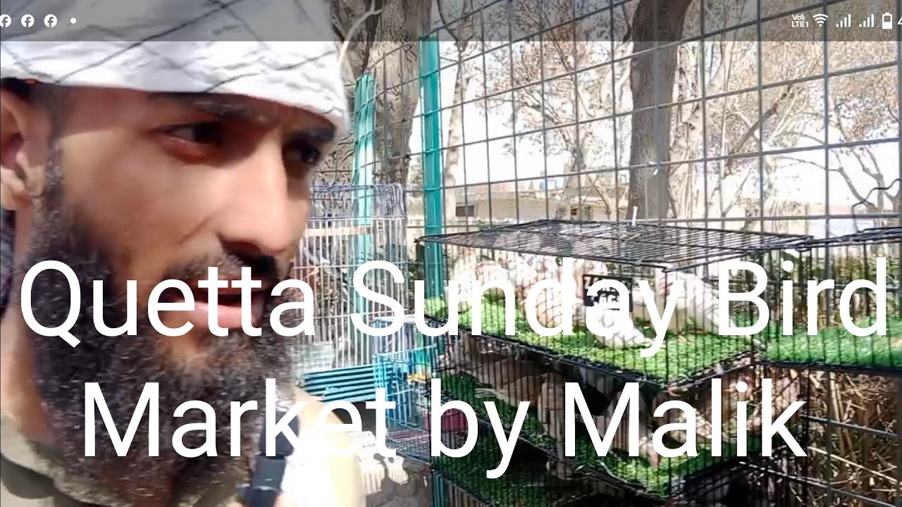 Rates of the Quetta Sunday Bird Market at Malibagh founded by Malik Abdul Haq 