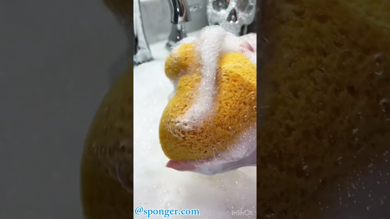 SPONGE SQUEEZING ASMR COMPILATION |33| - #spongeasmr #spongesqueezing #deepcleaning#relaxing #asmr