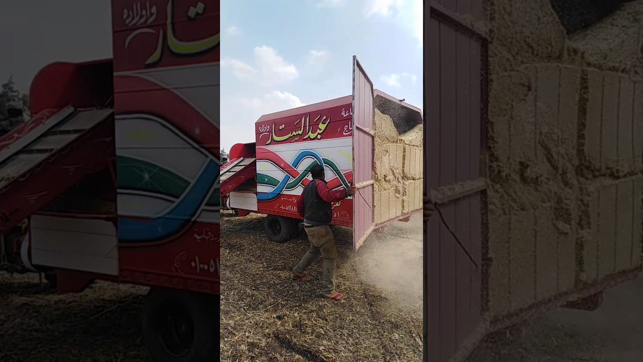 بتفضي التبن صناعة الحاج عبدالستار كفر سنجاب مركز تمي الامديد