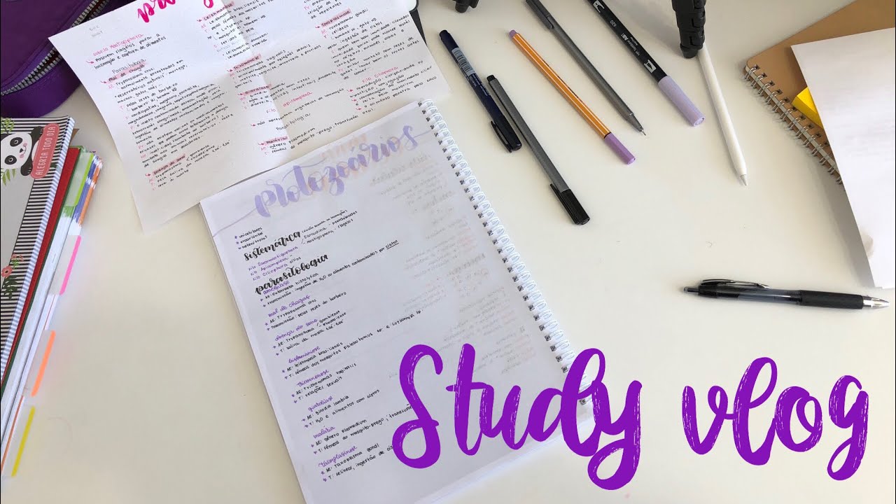 STUDY VLOG | StudyTiips
