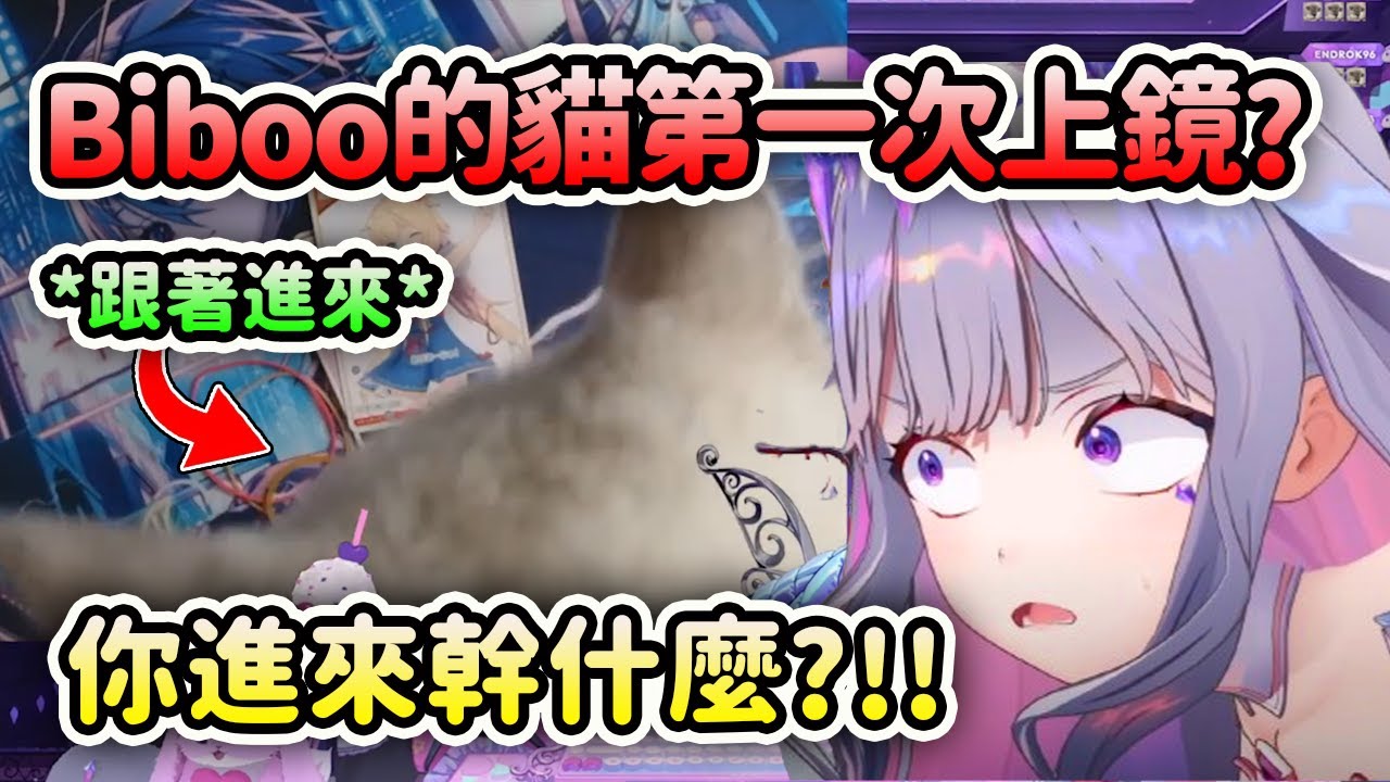 Biboo的貓John Cat第一次在直播中上鏡了?! 偷偷跟著Biboo進來房間?【Koseki Bijou】【Hololive中文】