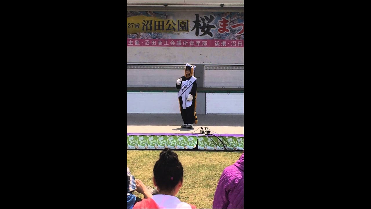 第27回沼田公園桜まつり　あらいぐんまちゃん。『虹色モザイク』『LOVEマシーン』