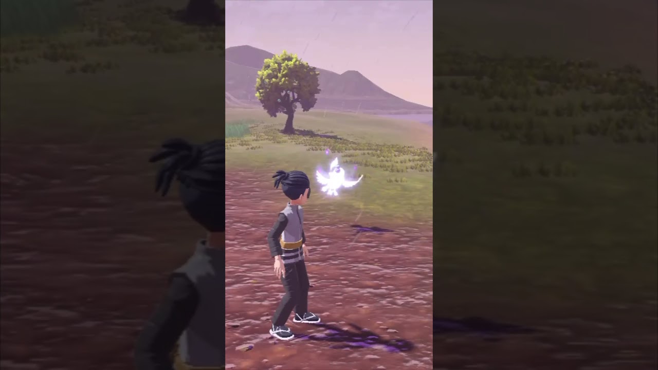 Shiny Chatot ✨🦜Pokemon Legends Arceus. 