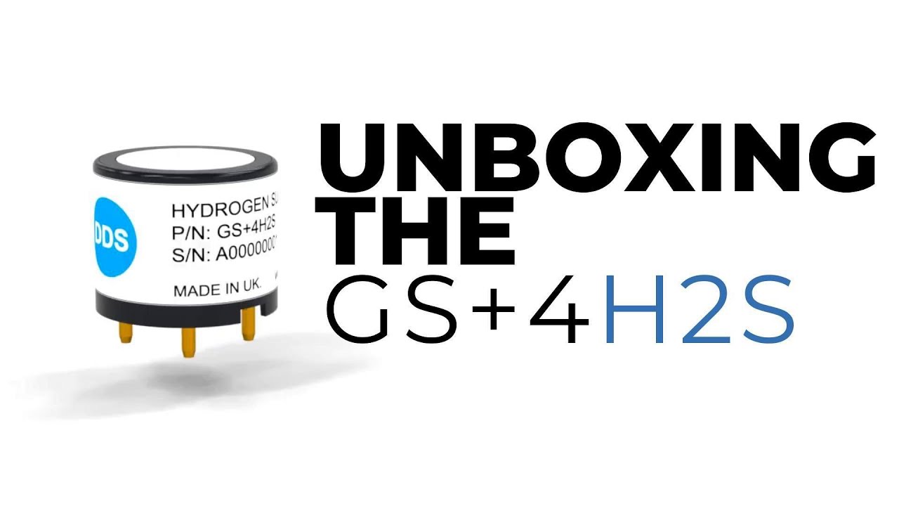 Unboxing the GS+4H2S - Hydrogen Sulphide electrochemical cell
