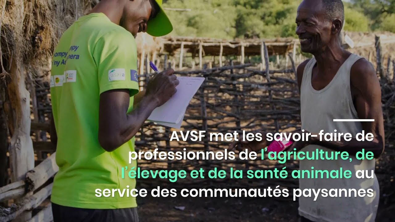 Santé animale & élevage : 1 minute pour comprendre les actions d'AVSF !