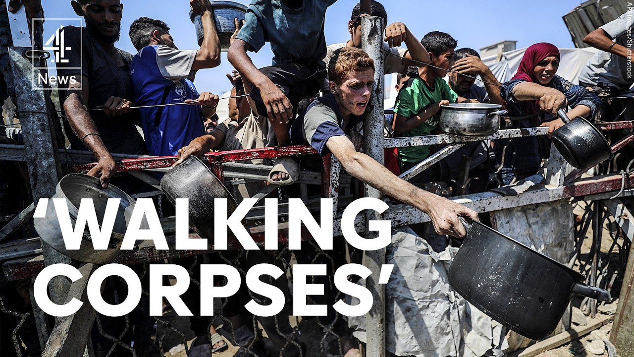 Gaza starvation so severe people are ‘walking corpses’, UN says