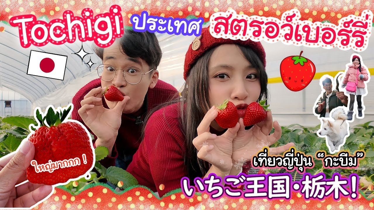 ประเทศที่ซ่อนอยู่ในประเทศญี่ปุ่น Tochigi ราชอาณาจักรแห่งสตรอว์เบอร์รี่ !? 栃木でいちご狩り！美味しすぎ～
