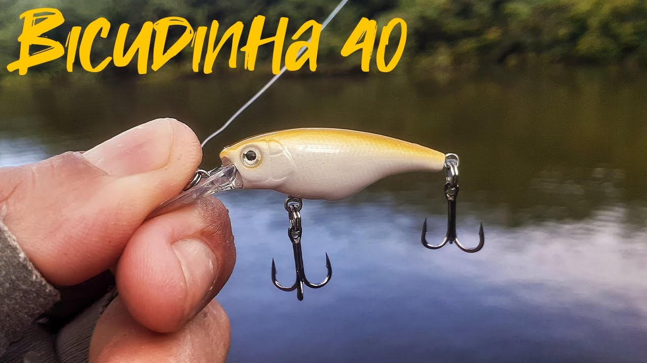 ISCA BICUDINHA DA Albatroz Fishing PESCA ULTRA LIGHT