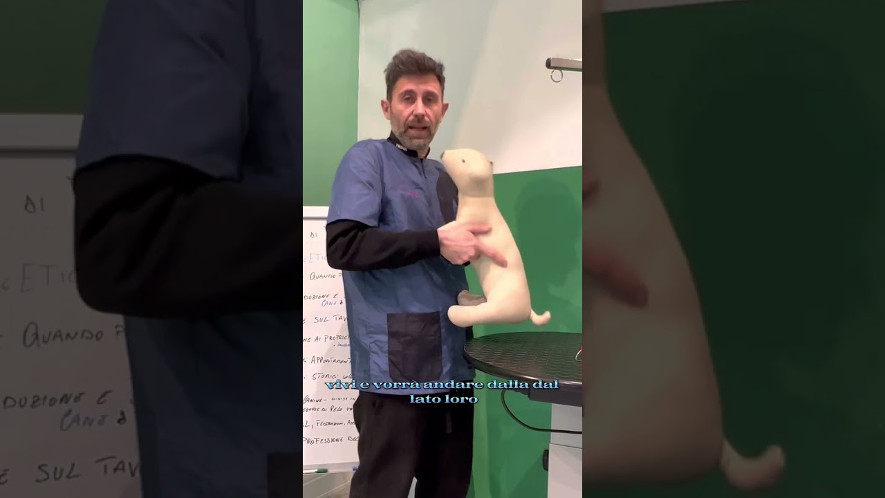 Approccio Etico alla Toelettatura