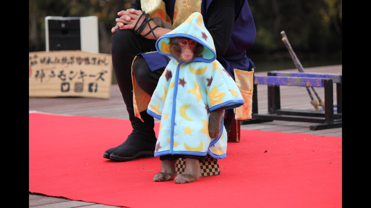 猿楽　特設ステージでの公演 (二日目)　二助企画