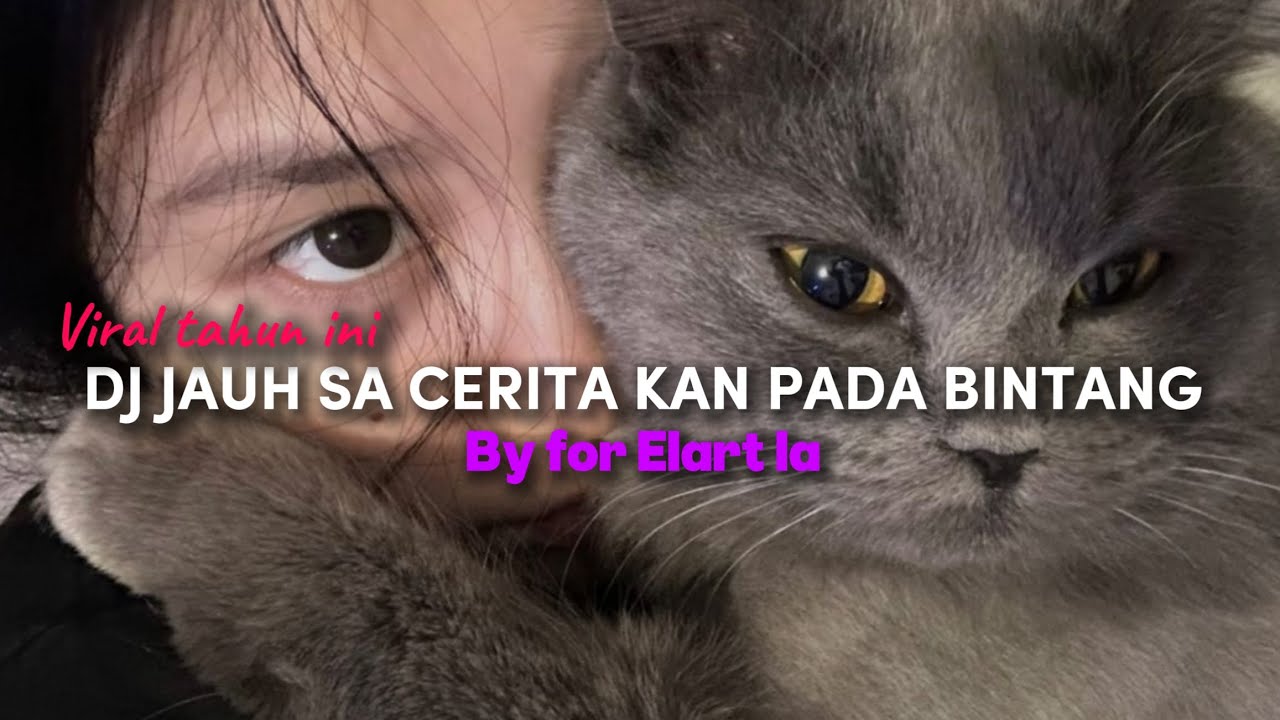 DJ SA CERITAKAN PADA BINTANG BINTANG JAUH KO PERGI !! by for elart la || dj terbaharu viral tiktok🎧🎶