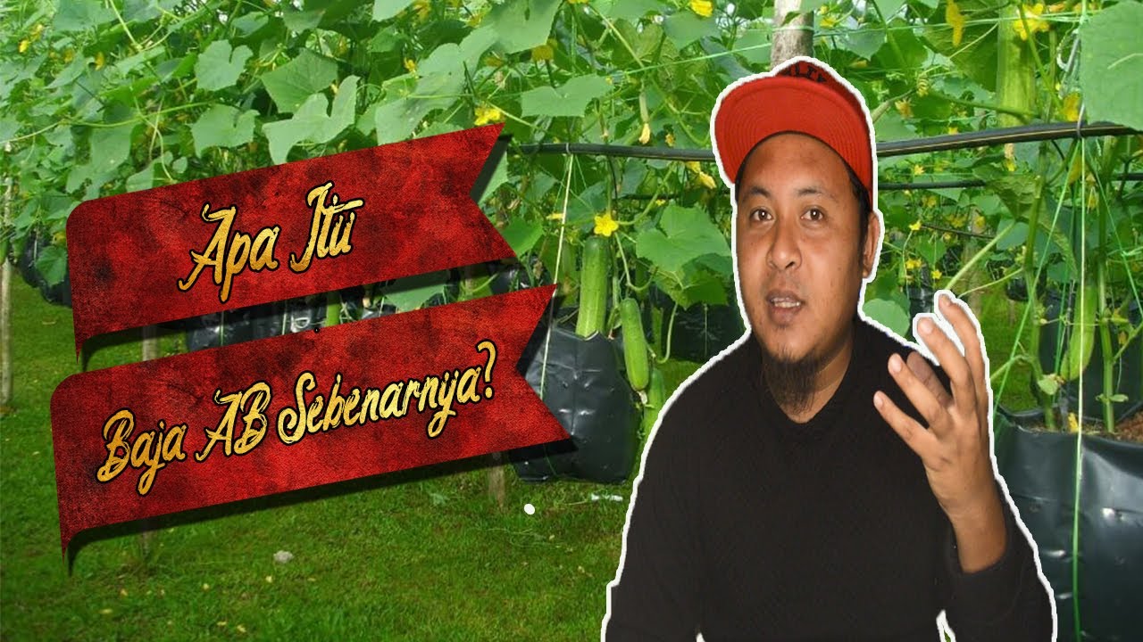 [BASIC] APA ITU BAJA AB?