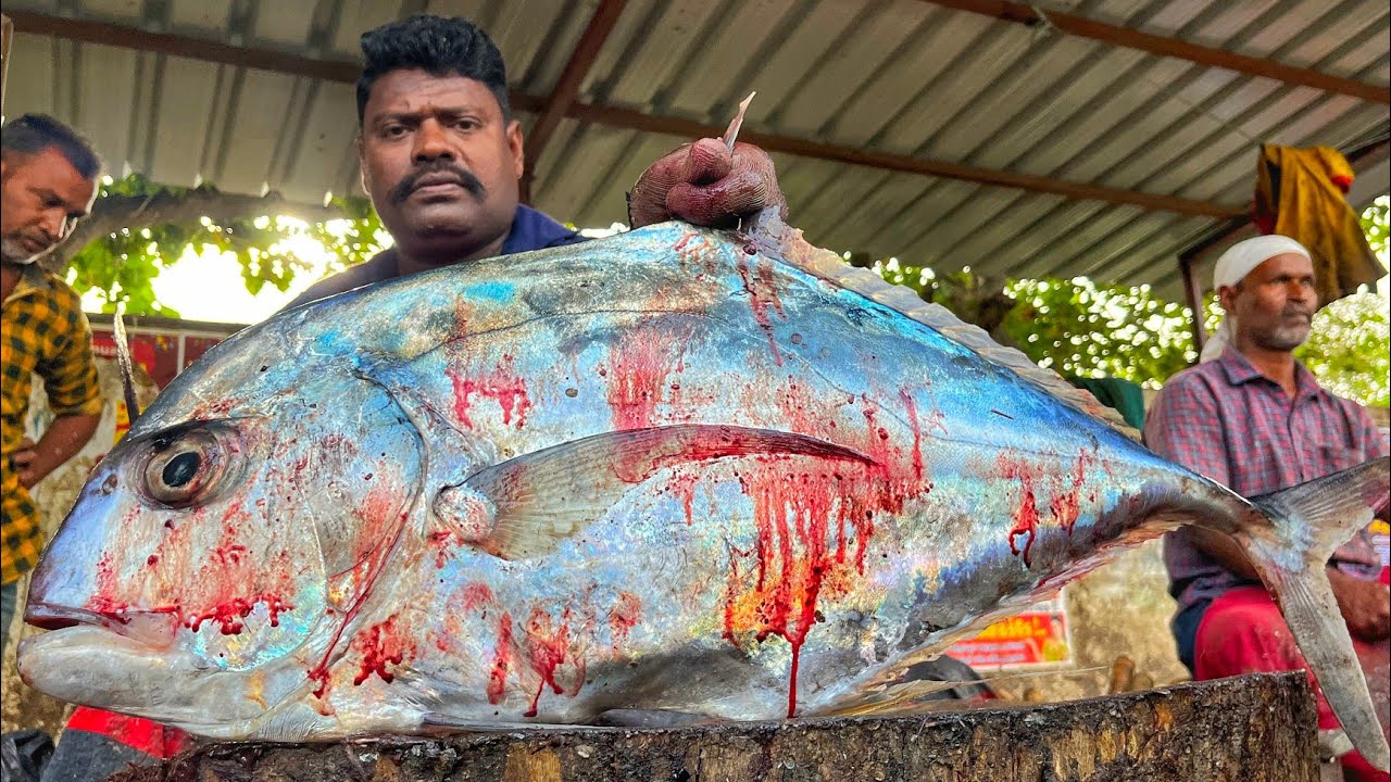 KASIMEDU 🔥 SPEED SELVAM | HUGE DIAMOND TRAVELLY FISH CUTTING VIDEO | 4K VIDEO | KM FISH CUTTING
