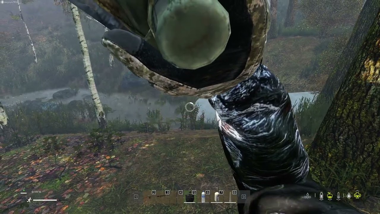 Сьогодні ми бомжуєм [запис][DayZ]