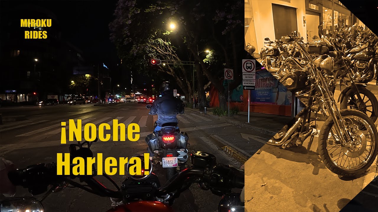 Harley Night 2025! Muchas Motos, estilo y rock and Roll!