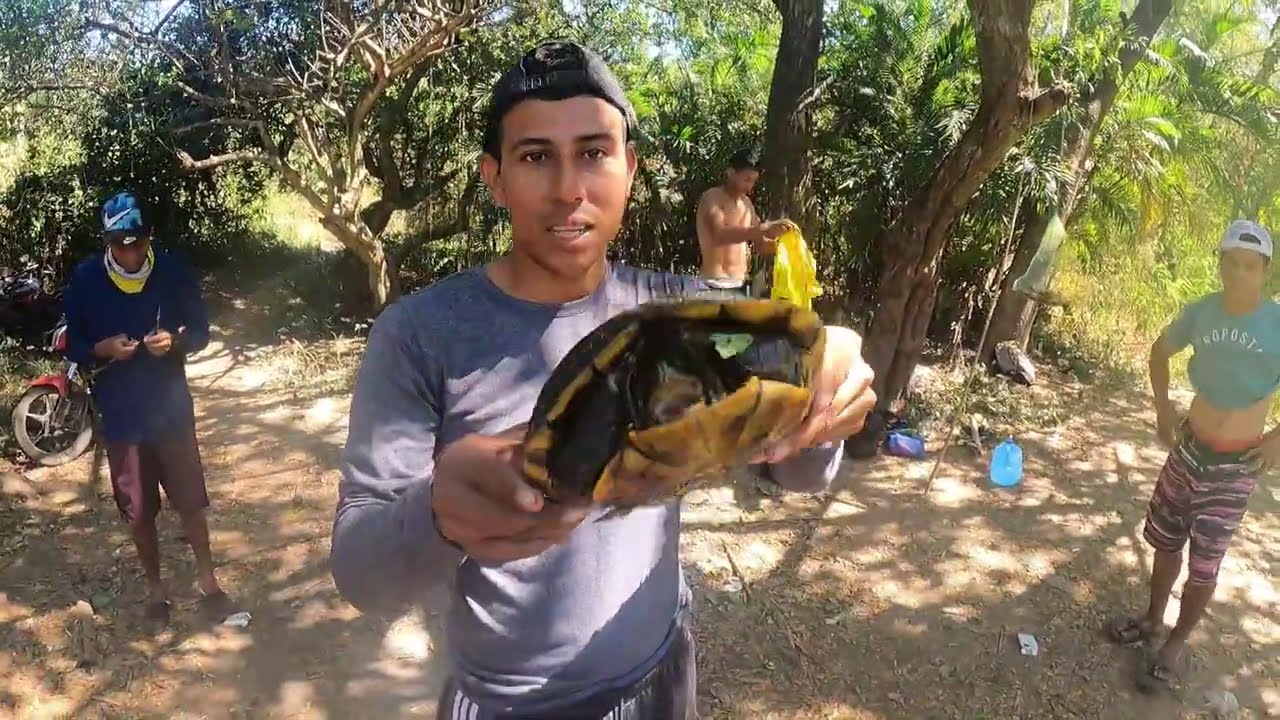 A comer TORTUGA ya que la PESCA no estuvo tan buena