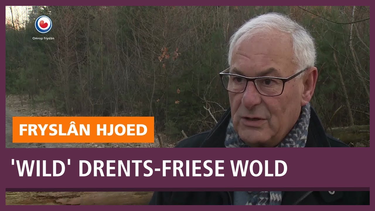 REPO:  'wild'  Drents Friese Wold